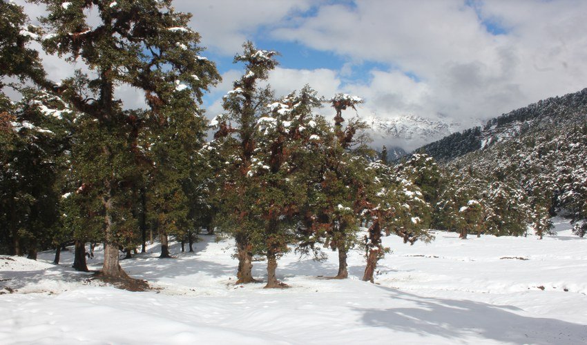 chopta tour