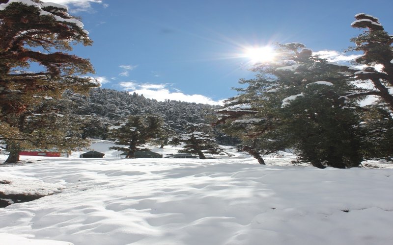 Chopta Tour Package From Haridwar