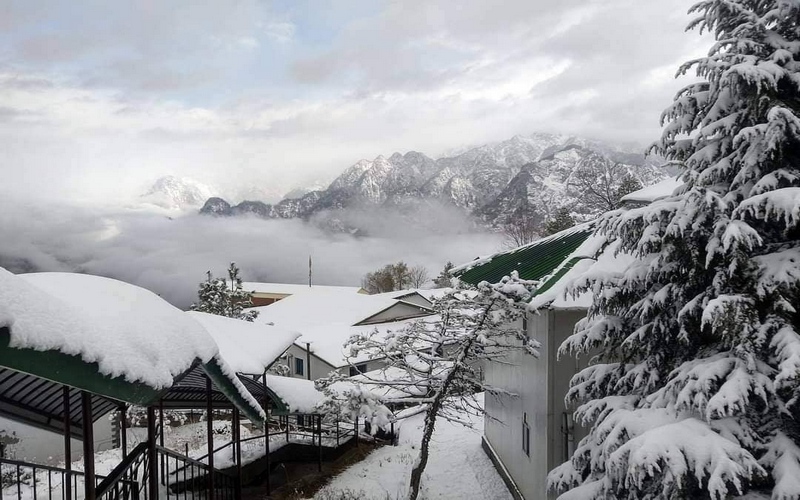 Auli Tour Package From Surat