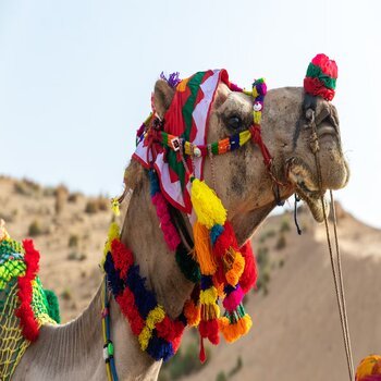 Rajasthan Tour Packages