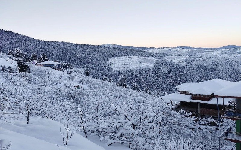Shimla Kullu Manali Tour Package From Pune