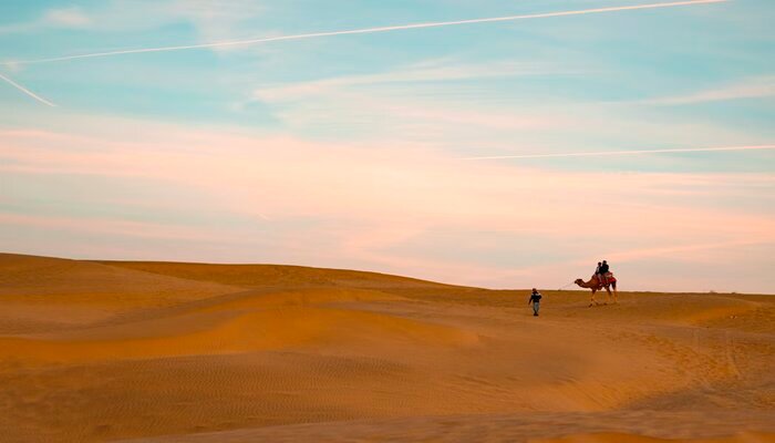 Rajasthan Tour Package From Vadodara