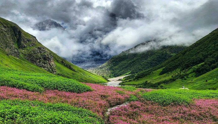 Valley Of Flowers Trip