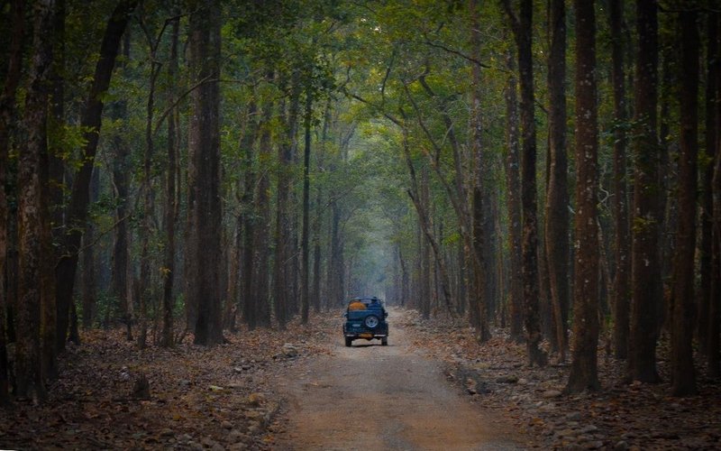 Jim Corbett Tour Package From Vadodara