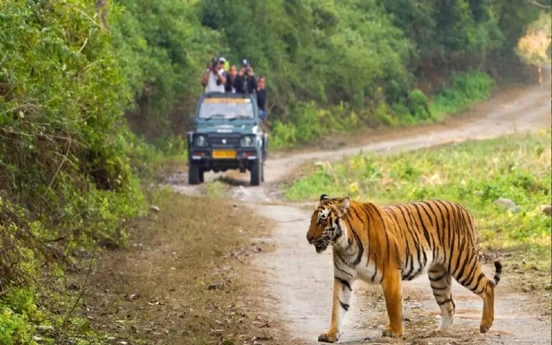 Jim Corbett Tour Package From Hyderabad