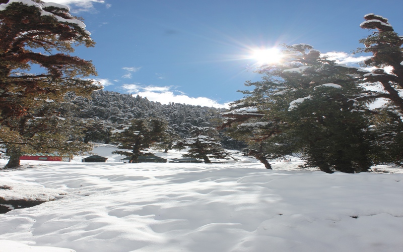 Chopta Tour Package From Surat