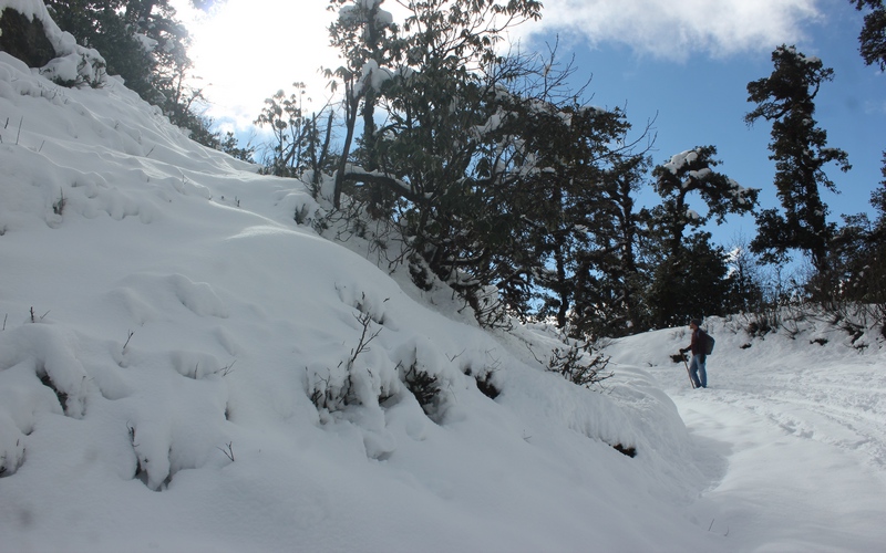 Chopta Tour Package From Surat