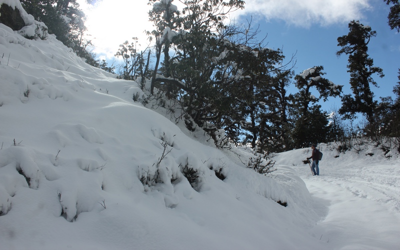Chopta Tour Package From Haridwar