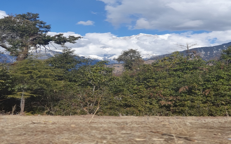 Chopta Tour Package From Chennai